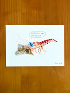 Digitale aquarel tekening van een garnaal die de krant leest door Anne Neuteboom cabaretier Anne Neut Boetiek